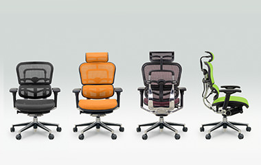 エルゴヒューマンを知る