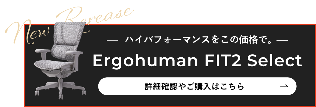 ハイパフォーマンスをこの価格で。Ergohuman FIT2 Select