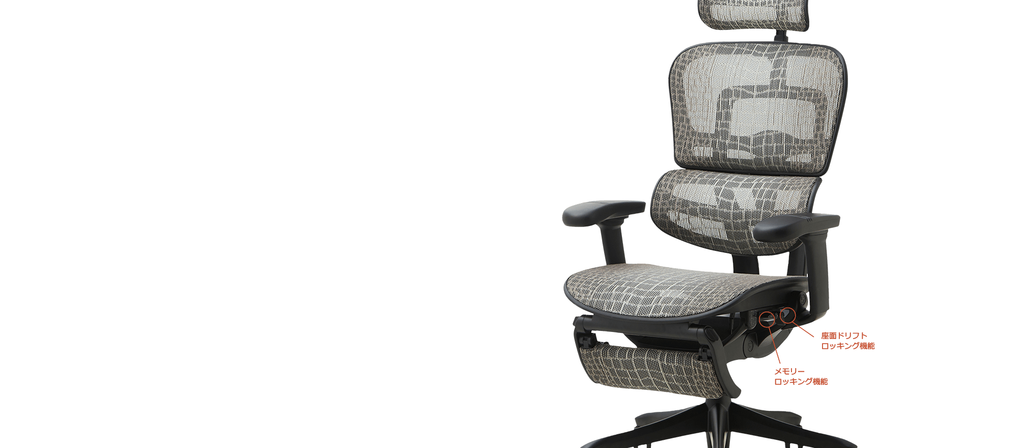 特別仕様モデル 】 エルゴヒューマン SE /ヘッドレスト 特別仕様モデル 】 エルゴヒューマン SE /ヘッドレスト