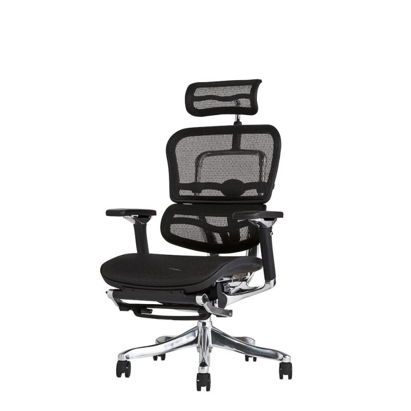 エルゴヒューマン プロ Ergohuman PRO EHP2-LAM-RD-GY.33fa96a1.webp