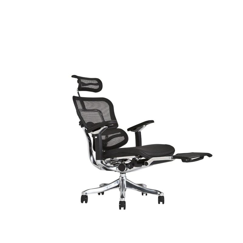 エルゴヒューマン プロ Ergohuman PRO EHP2-LAM-RD-GY.33fa96a1.webp