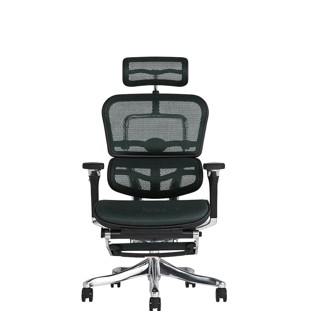 エルゴヒューマンプロ （エルゴヒューマンプロ Ergohuman PRO オフィス 