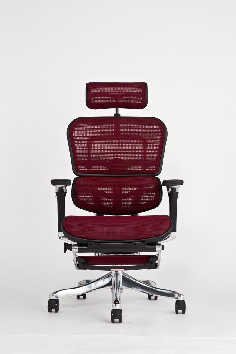 Ergohuman エルゴヒューマンプロオットマン内蔵型 1.jpg?t=20250724020040