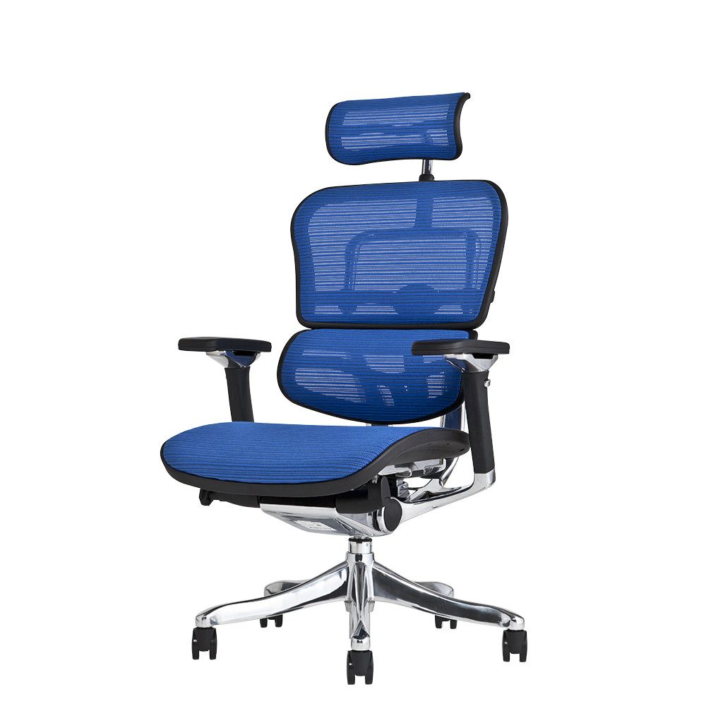 エルゴヒューマン プロ / ヘッドレスト有り【メーカー組み立て完成品 