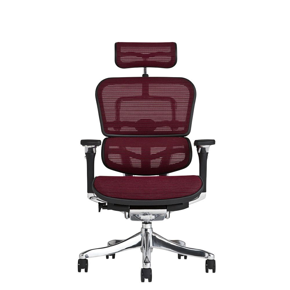 エルゴヒューマン プロ / ヘッドレスト有り【メーカー組み立て完成品 