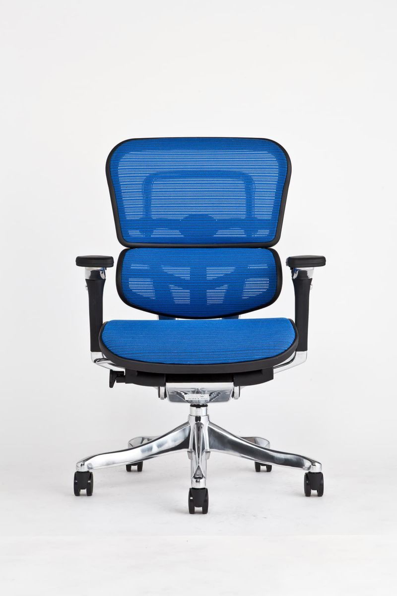 エルゴヒューマン プロ / ヘッドレスト無し【メーカー組み立て完成品 