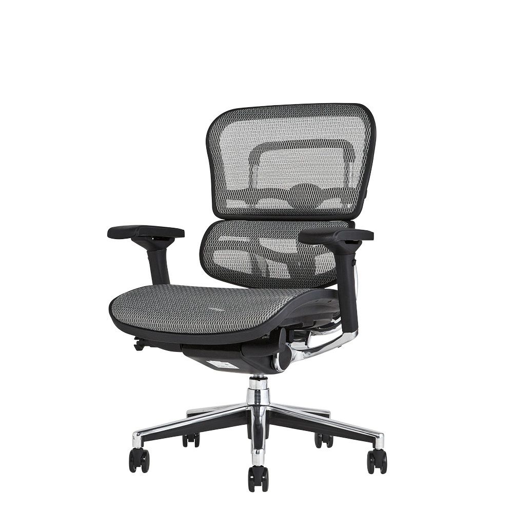 エルゴヒューマン ベーシック / ヘッドレスト無し【メーカー組み立て 