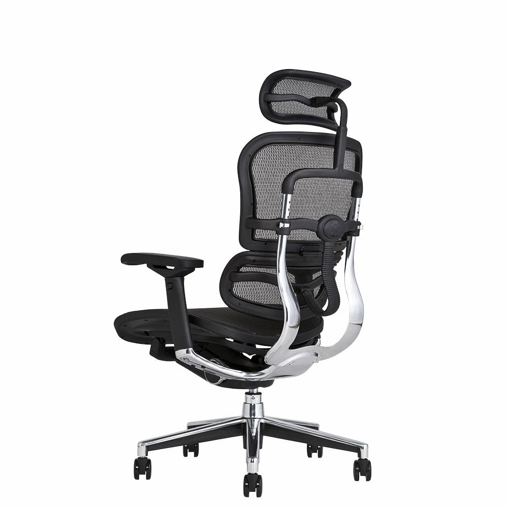 売約済み】オフィスチェア Ergohuman Basic エルゴヒューマン プロ 