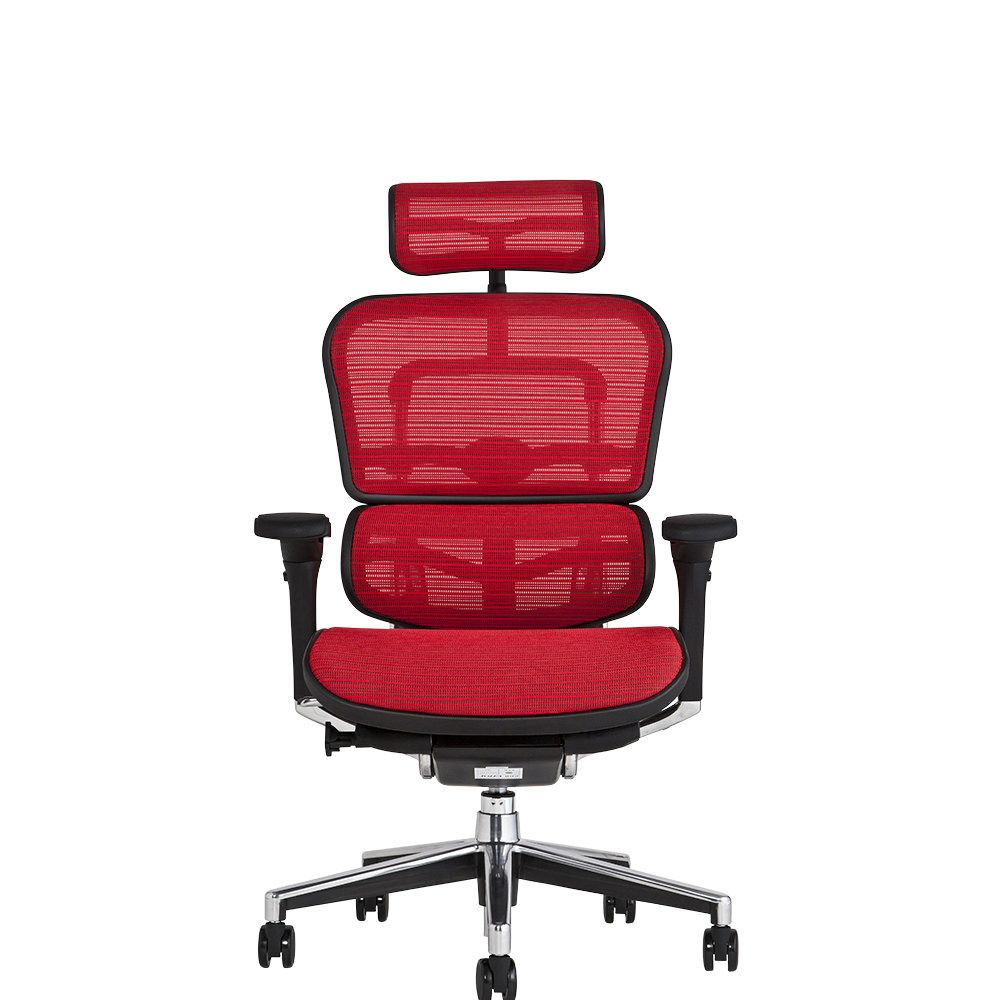 yd エルゴヒューマン ベーシック 2021年製 ヘッドレスト ランバー 中古 