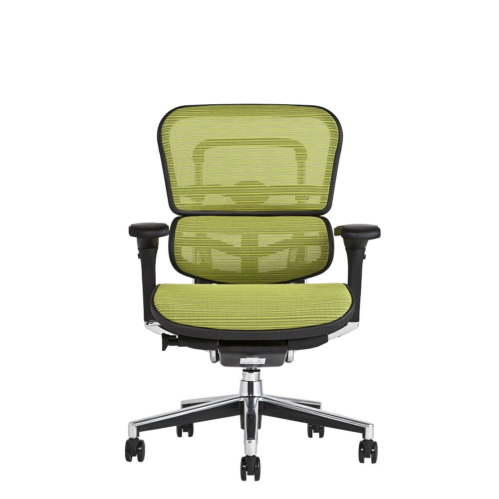 中古 Ergohuman Basic/エルゴヒューマン ベーシック 3Dグリーン 2012年製