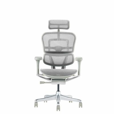 Ergohuman PRO HIGH Type エルゴヒューマンプロ Ergohuman PRO2 High | エルゴヒューマン公式サイト