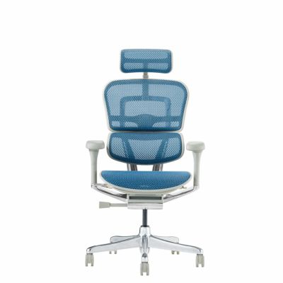 エルゴヒューマン プロ2【メーカー組み立て完成品】 | Ergohuman